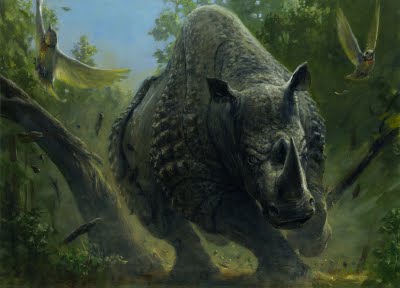 Stampeding Rhino